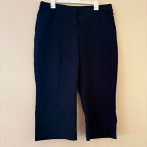 Investments Petites Navy Cropped Dress Pants Workwear Trousers Size 12P Stretch
